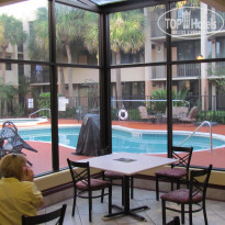 фото из отзыва ID 1130726