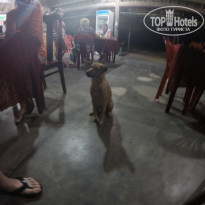 фото из отзыва ID 1131105