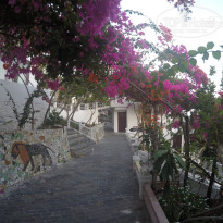 фото из отзыва ID 1131105