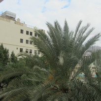 фото из отзыва ID 1131158