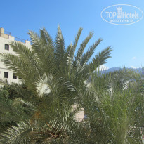 фото из отзыва ID 1131158