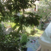 фото из отзыва ID 1131174