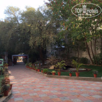 фото из отзыва ID 1131224