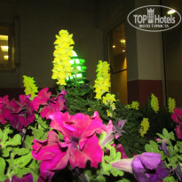 фото из отзыва ID 1131406