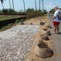 фото из отзыва ID 1131252