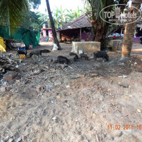 фото из отзыва ID 1131252