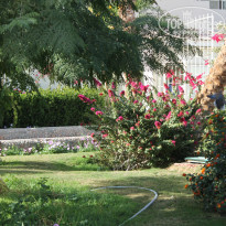 фото из отзыва ID 1131493