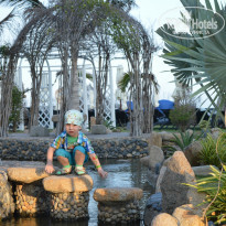 фото из отзыва ID 1131717