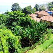 фото из отзыва ID 1131901