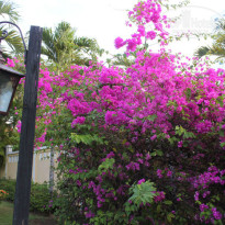 фото из отзыва ID 1131896