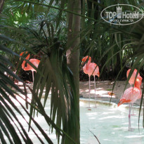 фото из отзыва ID 1132245