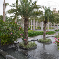 фото из отзыва ID 1132319