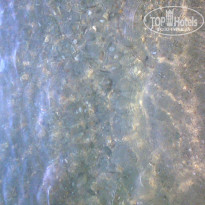 фото из отзыва ID 1132323