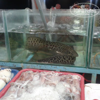 фото из отзыва ID 1132423