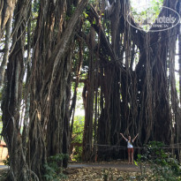 фото из отзыва ID 1132503