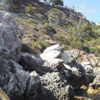 фото из отзыва ID 1132600