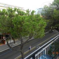 фото из отзыва ID 1132768