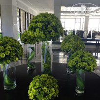 фото из отзыва ID 1132818