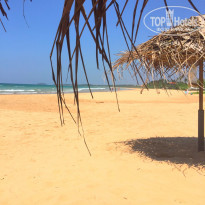 фото из отзыва ID 1132818