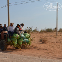 фото из отзыва ID 1130792