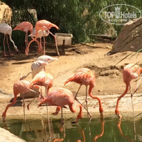 фото из отзыва ID 1133264