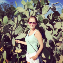 фото из отзыва ID 1133264