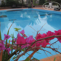 фото из отзыва ID 1133330