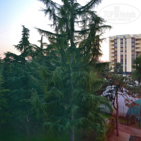 фото из отзыва ID 1133417