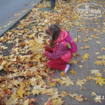 фото из отзыва ID 1133482