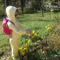 фото из отзыва ID 1133482