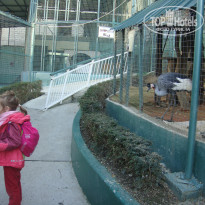 фото из отзыва ID 1133482