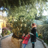 фото из отзыва ID 1133482