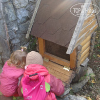 фото из отзыва ID 1133482