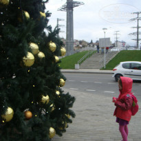 фото из отзыва ID 1133482