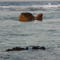 фото из отзыва ID 1133386