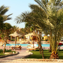 фото из отзыва ID 1133645