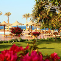 фото из отзыва ID 1133645