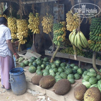 фото из отзыва ID 1133157