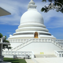 фото из отзыва ID 1133157