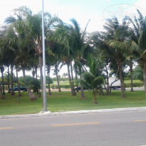 фото из отзыва ID 1133780