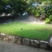 фото из отзыва ID 1133780