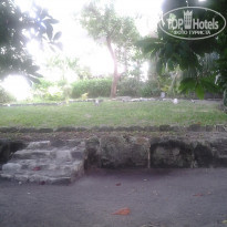 фото из отзыва ID 1133780