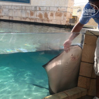 фото из отзыва ID 1133780