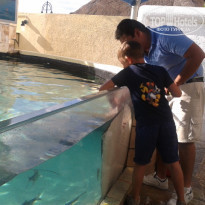 фото из отзыва ID 1133780