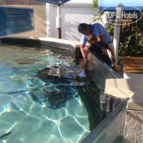 фото из отзыва ID 1133780