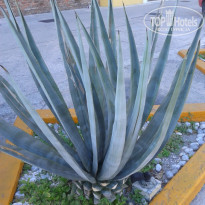 фото из отзыва ID 1133780