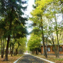 фото из отзыва ID 1133998