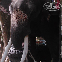 фото из отзыва ID 1134039