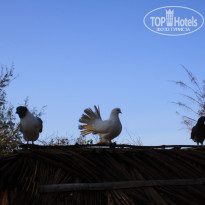 фото из отзыва ID 1134316