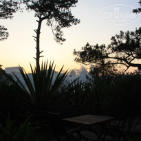 фото из отзыва ID 1134365